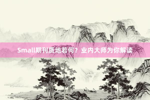 Small期刊质地若何？业内大师为你解读